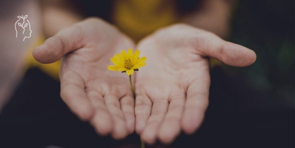 Deux mains en train de tenir une fleur jaune