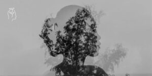 Portrait femme noir et blanc avec transparence arbres