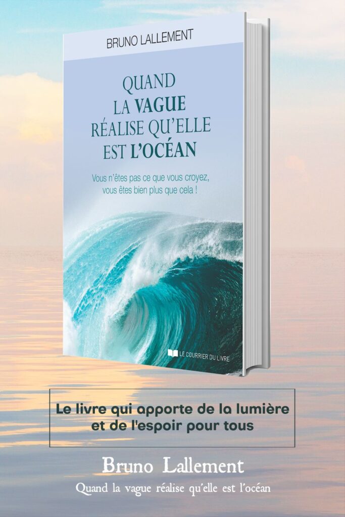 livre de Bruno Lallement quand la vague réalise qu'elle est l'océan